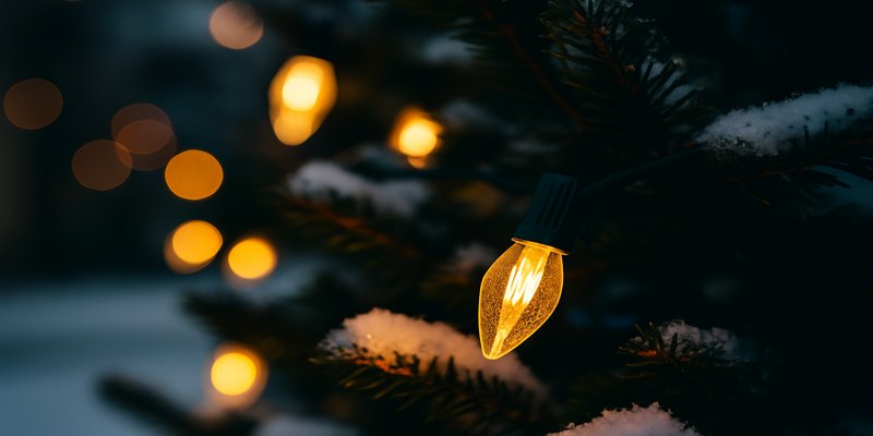 C9 LED bulbs illuminating a backyard tree in snow