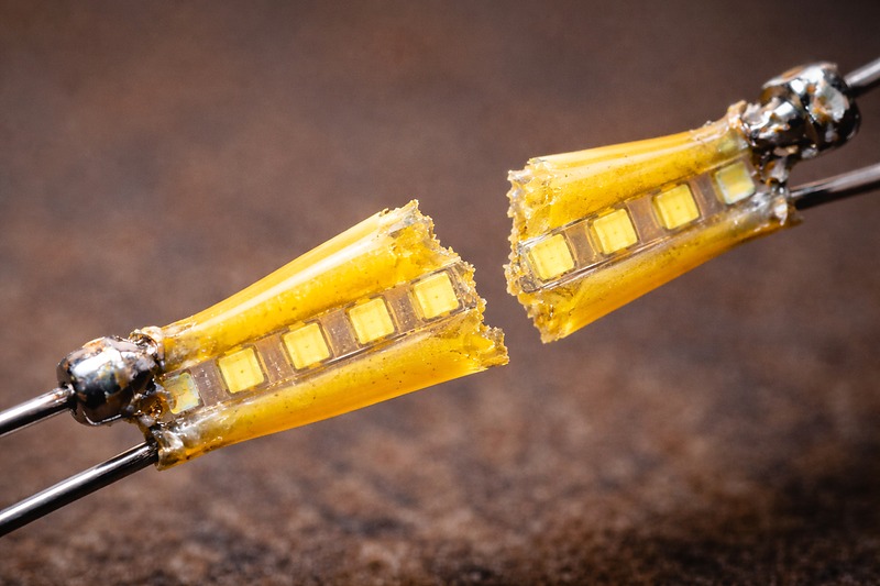 The Micro-Chip String Macro photography of a broken yellow LED filament. You can see the tiny individual LED chips lined up under the yellow phosphor coating.