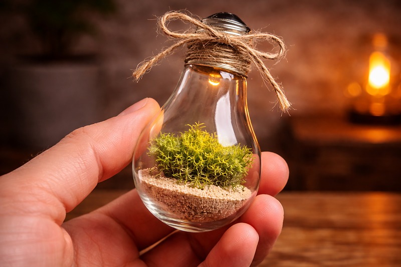 Close-up of a hand holding a hollowed-out light bulb. Inside, there is a tiny layer of sand and a piece of reindeer moss. A string is tied around the metal base.
