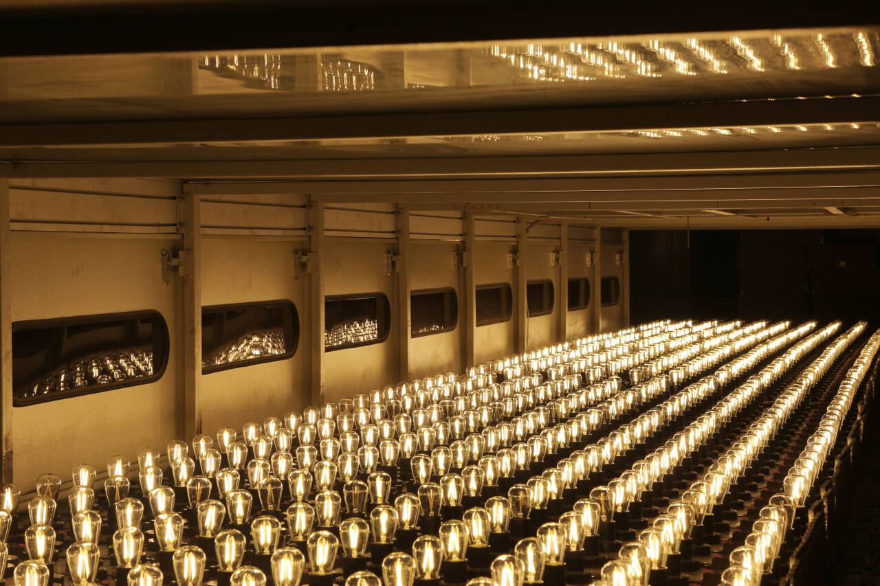 Rows of decorative LED filament bulbs undergoing aging test in HongYu Bulb factory in Dongguan, China
