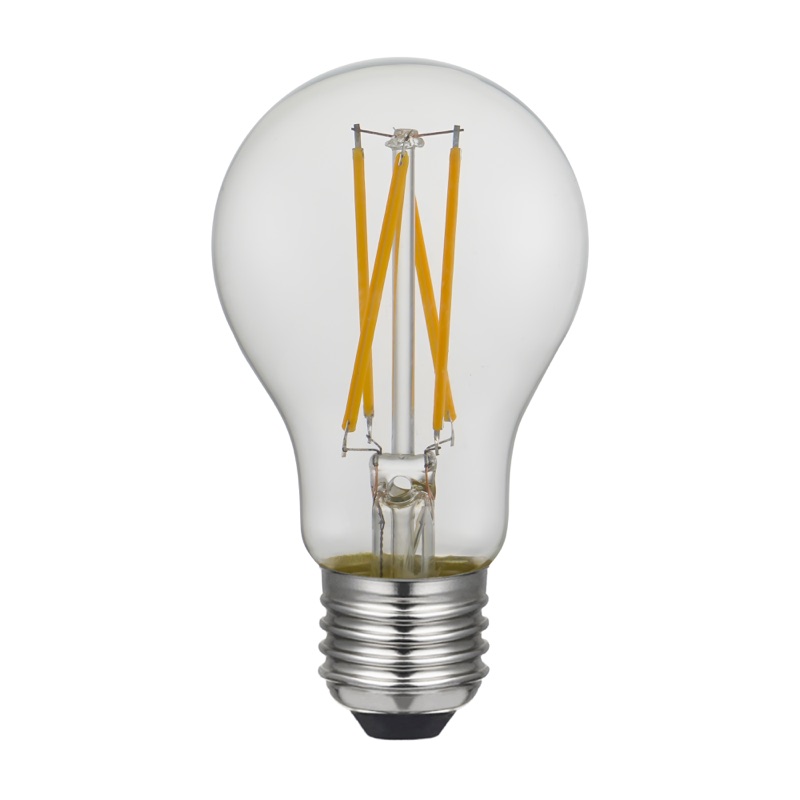 A60-6W-C-24V-AC/DC-B low voltage LED filament bulb